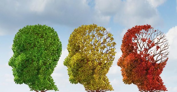 Langkah Praktis untuk Membantu Pikiran Tetap Lebih Tenang di Tengah Aktivitas Harian